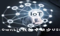如何解决Ownbit钱包中缺少