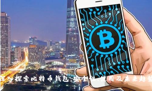 深入探索比特币钱包:安全性、使用及未来趋势