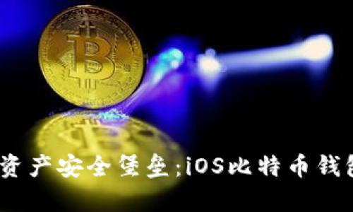 打造您的数字资产安全堡垒:iOS比特币钱包App深度解析