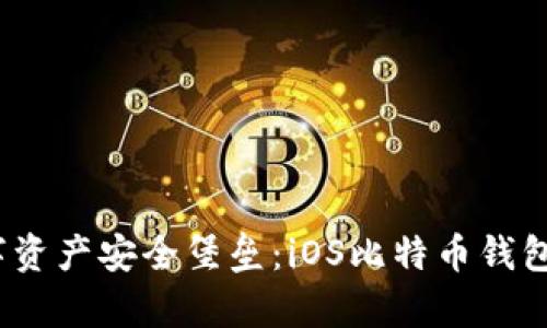 打造您的数字资产安全堡垒:iOS比特币钱包App深度解析