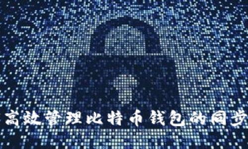 如何高效管理比特币钱包的同步过程