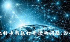 如何解决比特币钱包打开