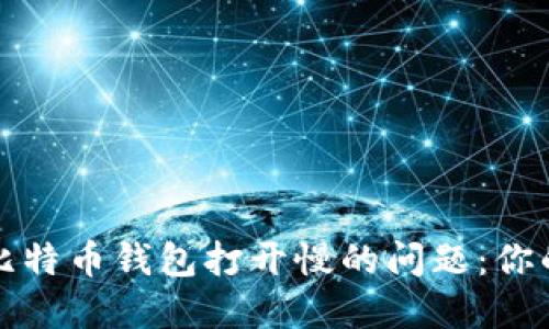 如何解决比特币钱包打开慢的问题:你的终极指南