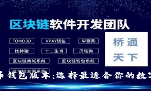 深入探索比特币钱包版本:选择最适合你的数字资产管理工具