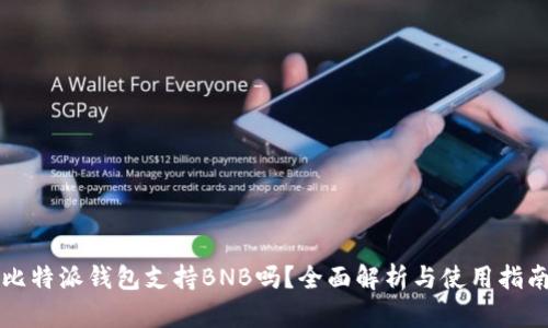 比特派钱包支持BNB吗?全面解析与使用指南