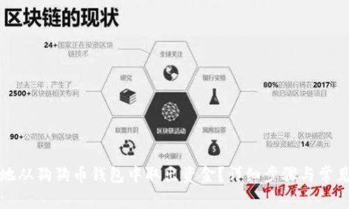 如何安全地从狗狗币钱包中取出资金?详细步骤与常见问题解答