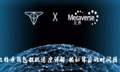 比特币钱包提现速度详解
