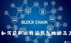 全面解析：如何获取比特