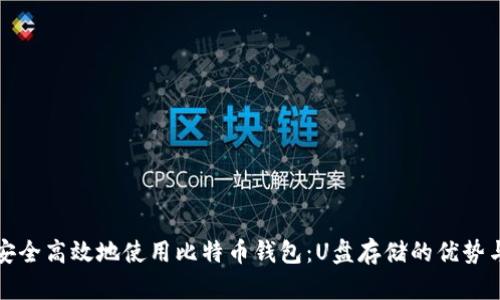 如何安全高效地使用比特币钱包:U盘存储的优势与技巧
