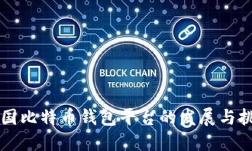 中国比特币钱包平台的发展与挑战