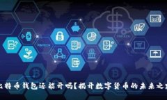比特币钱包还能开吗？揭