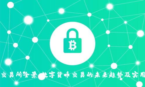比特交易所全景:数字货币交易的未来趋势及实用指南