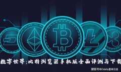 畅游数字世界：比特浏览