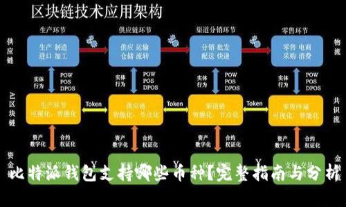 比特派钱包支持哪些币种？完整指南与分析