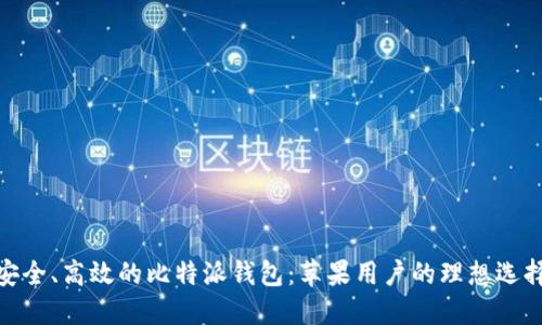 安全、高效的比特派钱包：苹果用户的理想选择