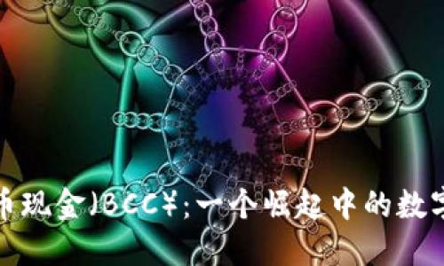 揭秘比特币现金(BCC):一个崛起中的数字货币钱包