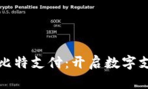 深入了解比特支付：开启数字支付新时代