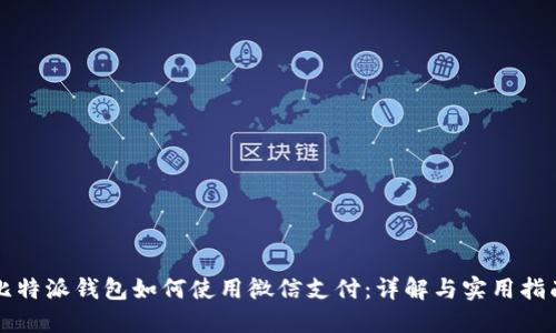 比特派钱包如何使用微信支付:详解与实用指南