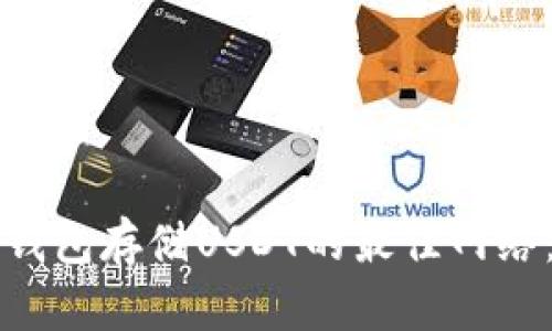 如何选择冷钱包存储USDT的最佳网络:全方位指南