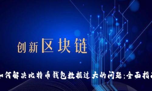 如何解决比特币钱包数据过大的问题:全面指南