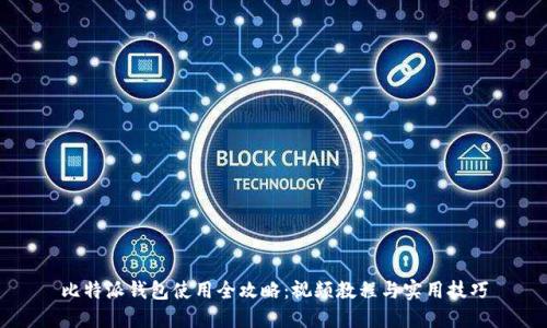 比特派钱包使用全攻略:视频教程与实用技巧