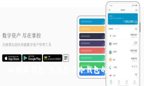 比特派钱包:热钱包与冷钱包的深度解析