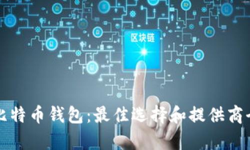 揭秘比特币钱包:最佳选择和提供商全解析