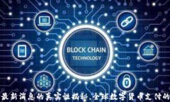 比特支付最新消息的真实