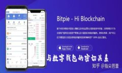 解密泰达币与数字钱包的