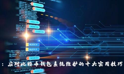 : 应对比特币钱包系统维护的十大实用技巧