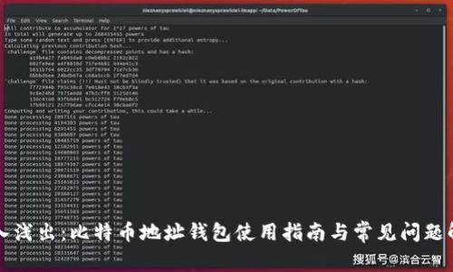 深入浅出:比特币地址钱包使用指南与常见问题解答