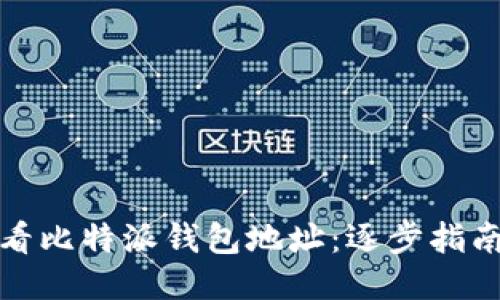 如何查看比特派钱包地址:逐步指南与技巧