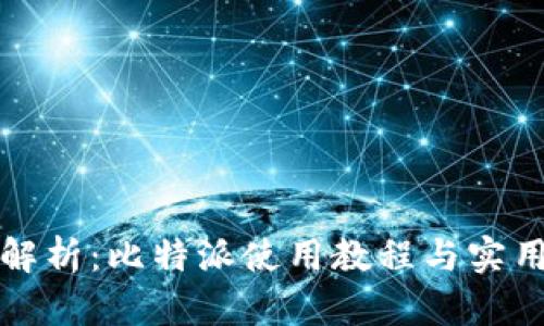 全面解析:比特派使用教程与实用技巧