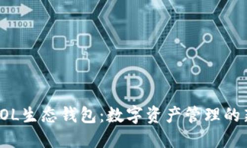 探索SOL生态钱包:数字资产管理的新未来