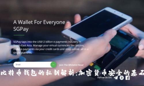 比特币钱包的私钥解析:加密货币安全的基石