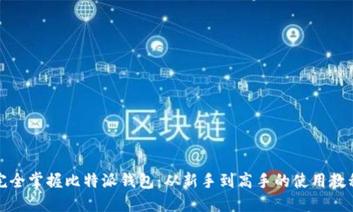 完全掌握比特派钱包:从新手到高手的使用教程