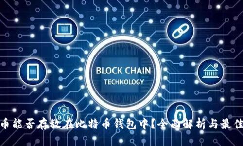 BCD币能否存放在比特币钱包中？全面解析与最佳实践
