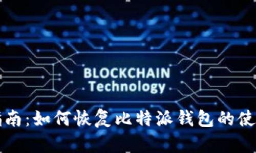 全面指南：如何恢复比特派钱包的使用记录