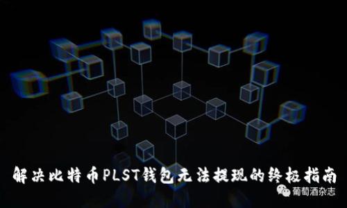 解决比特币PLST钱包无法提现的终极指南