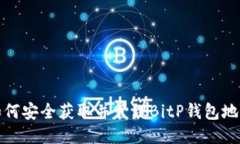如何安全获取并管理BitP钱
