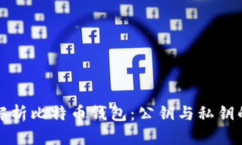 深入解析比特币钱包：公钥与私钥的奥秘