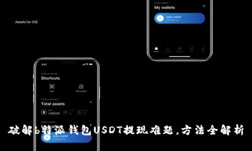 破解b特派钱包USDT提现难题，方法全解析