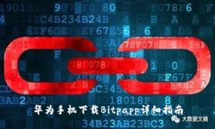 华为手机下载Bitpapp详细指