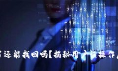 比特派转错了还能找回吗