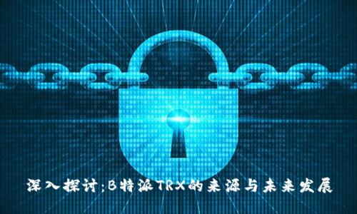 深入探讨：B特派TRX的来源与未来发展