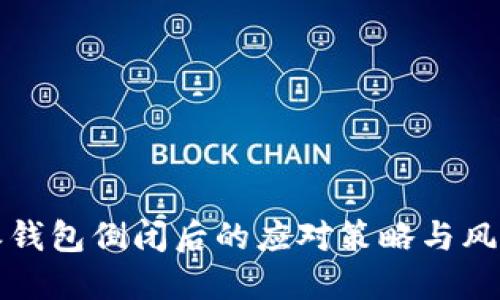 比特派钱包倒闭后的应对策略与风险管理