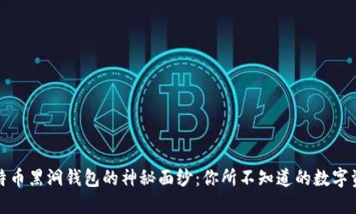 揭开比特币黑洞钱包的神秘面纱：你所不知道的数字资产世界