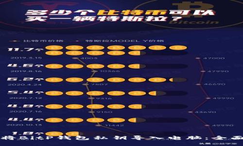 如何将BitP钱包私钥导入电脑：全面指南