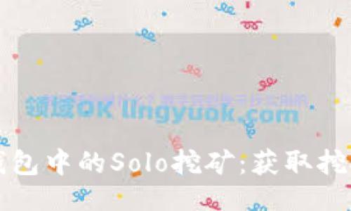 及关键词

深入探索比特币钱包中的Solo挖矿：获取挖矿收益的终极指南