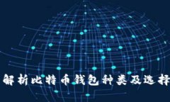 全面解析比特币钱包种类